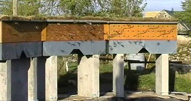 Sand Martin artificial breeding site