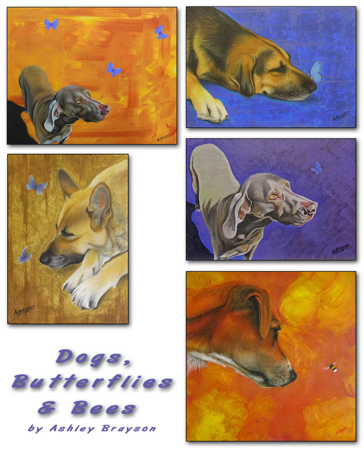 Dogs, butterflies and bees