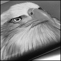 Eagle wallet