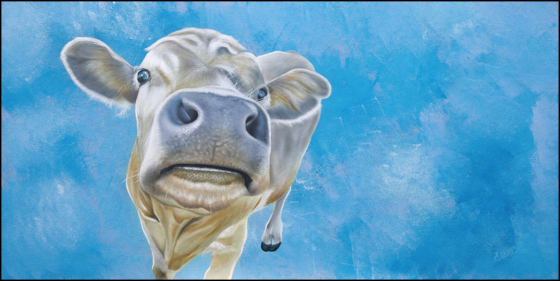 The Nosy Cow