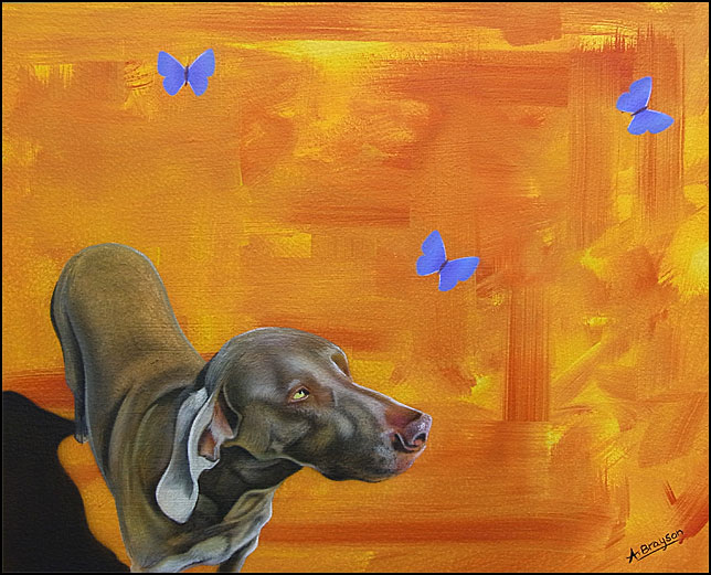 The dog and butterflies