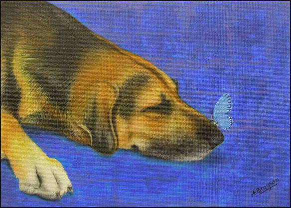 The dog and butterfly