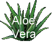 Forever Living Aloe Vera Products