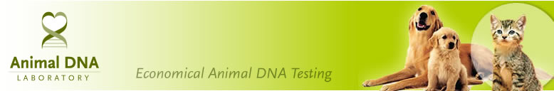 Animal DNA Laboratory