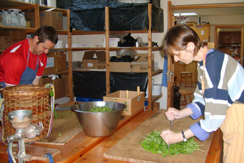 Chopping Herbs