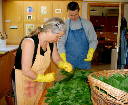 Chopping Herbs