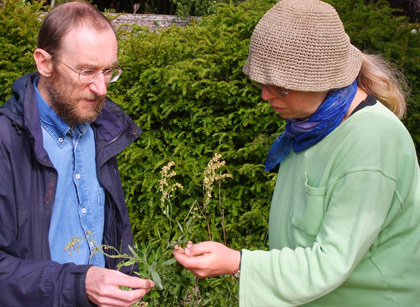 Herb Analysis