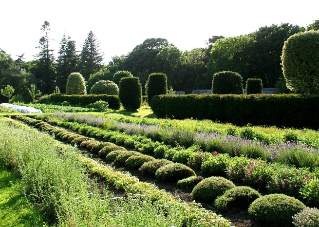 Herb garden