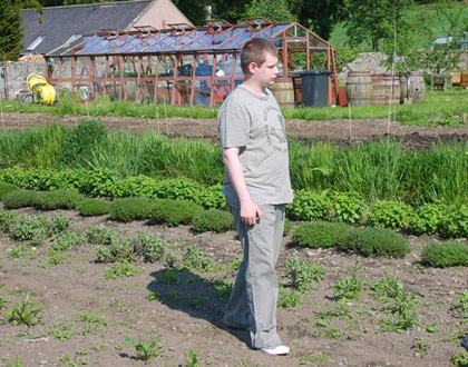 Herb Garden