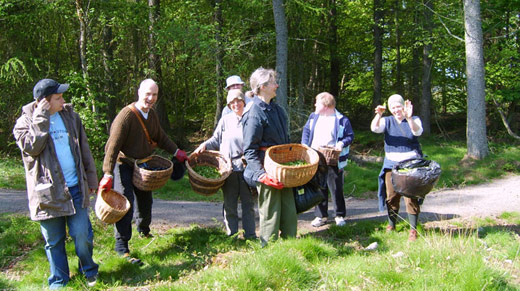 Happy Herb Pickers