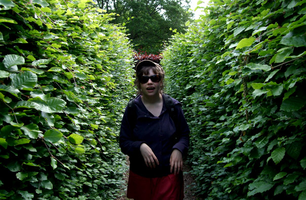 in the maze