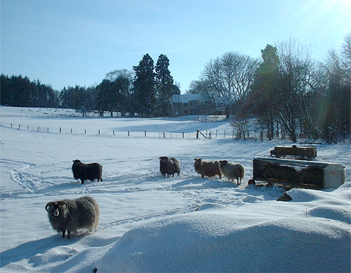 Snow on Beannachar