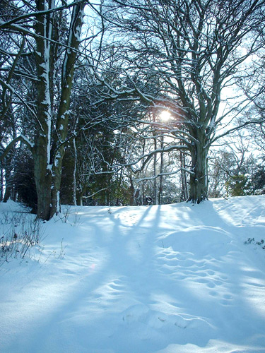Snow on Beannachar