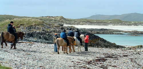 Tiree