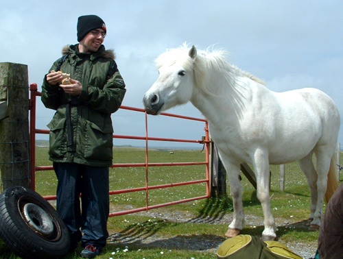 Tiree