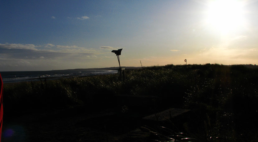 st cyrus