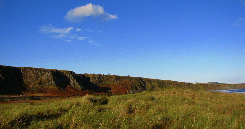 st cyrus