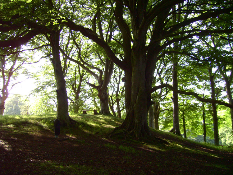 swing hill 1