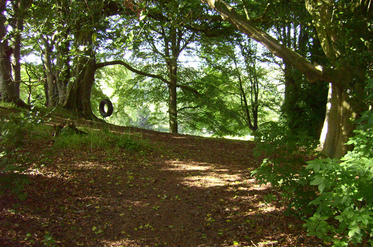 swing hill